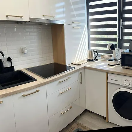 Maryland Garden ナボダリ